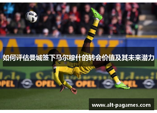 如何评估曼城签下马尔穆什的转会价值及其未来潜力