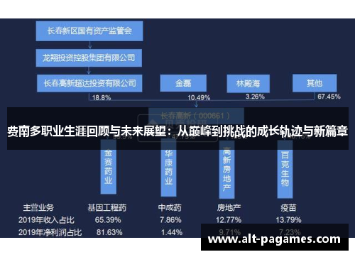 费南多职业生涯回顾与未来展望：从巅峰到挑战的成长轨迹与新篇章