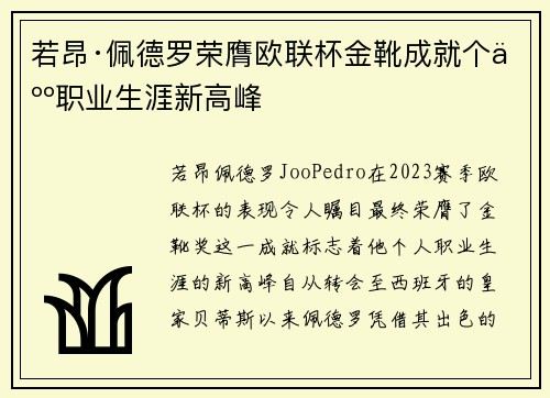 若昂·佩德罗荣膺欧联杯金靴成就个人职业生涯新高峰